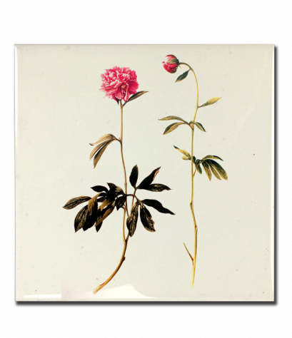 กระเบื้องแต่งลาย Flora tiles สกรีนโลโก้ได้